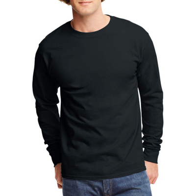 Hanes Men's and Big Men's Tagless Long Sleeve Tee